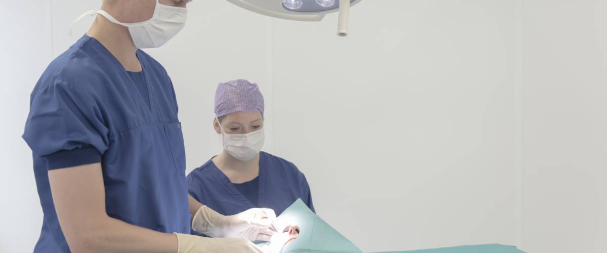 Ceulen Klinieken professioneel samenwerken.jpg